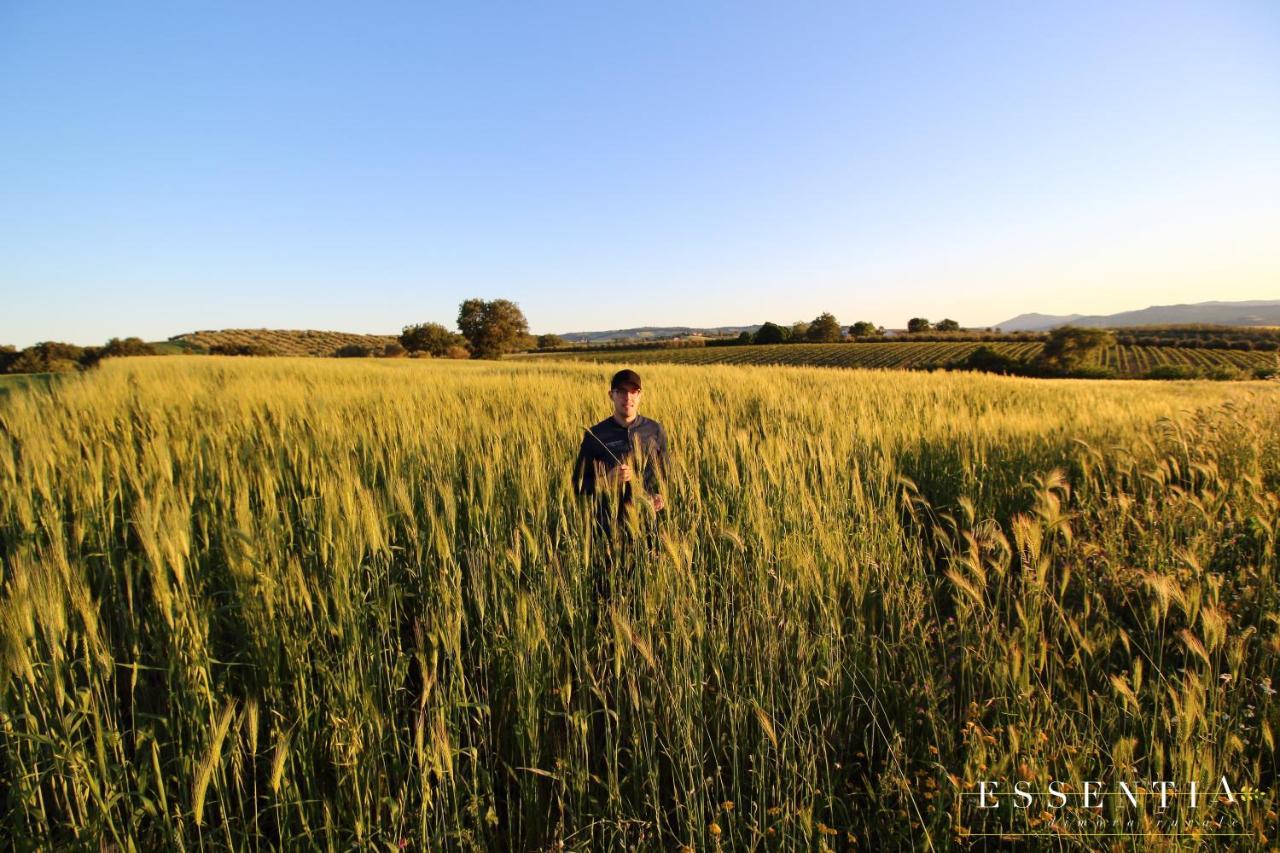 Agriturismo Essentia Dimora Rurale Larino エクステリア 写真