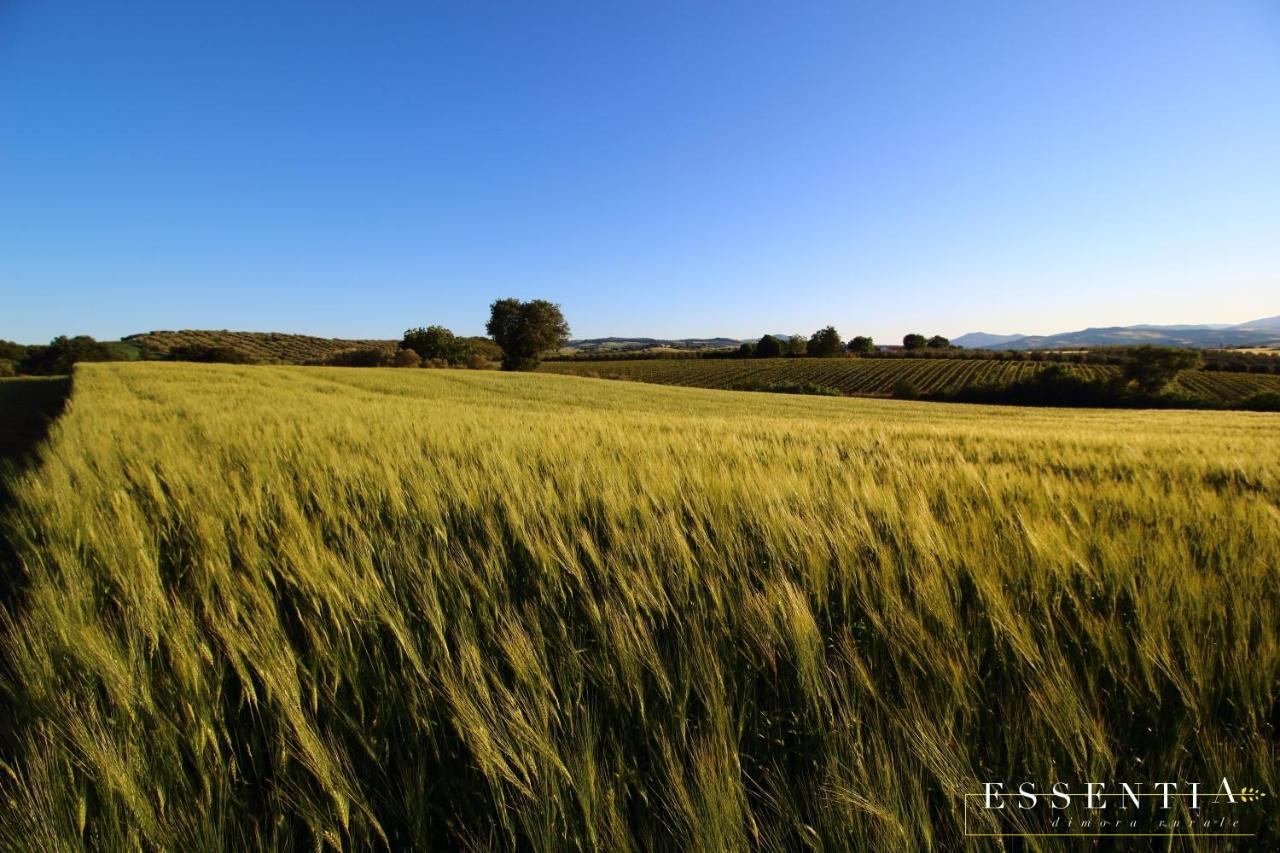 Agriturismo Essentia Dimora Rurale Larino エクステリア 写真