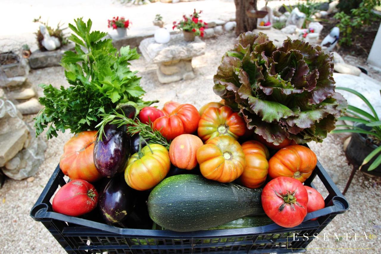 Agriturismo Essentia Dimora Rurale Larino エクステリア 写真