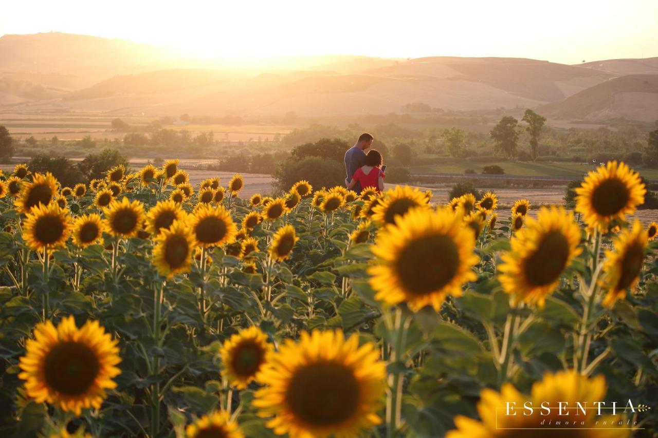 Agriturismo Essentia Dimora Rurale Larino エクステリア 写真