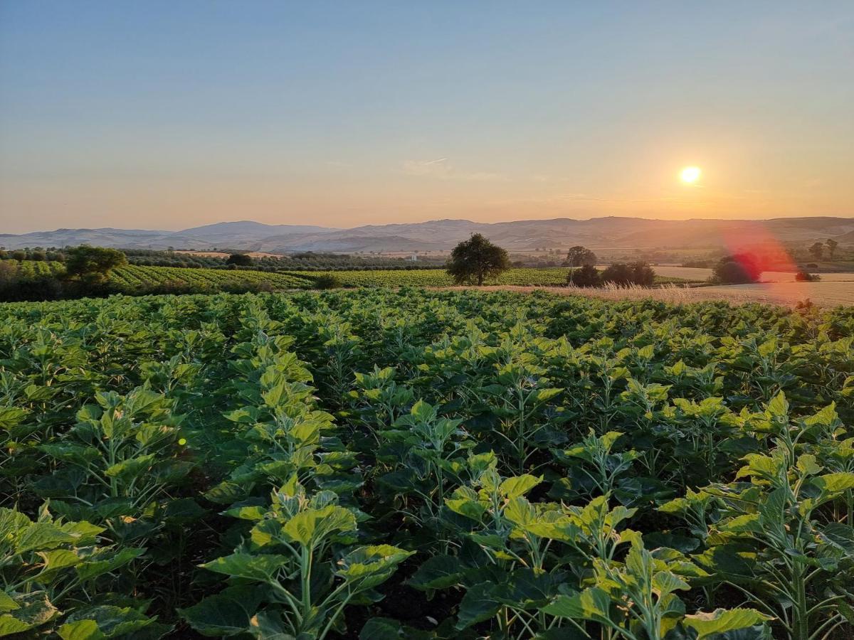 Agriturismo Essentia Dimora Rurale Larino エクステリア 写真