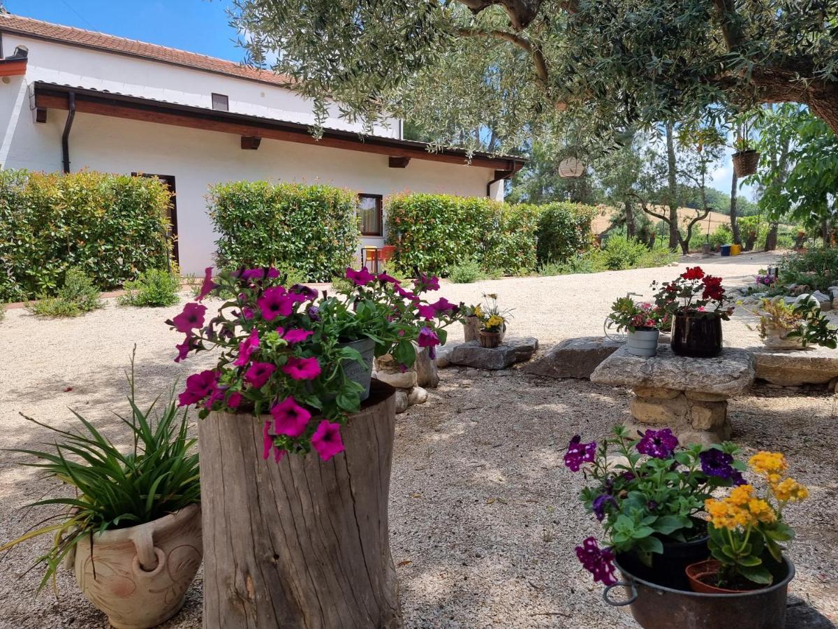 Agriturismo Essentia Dimora Rurale Larino エクステリア 写真
