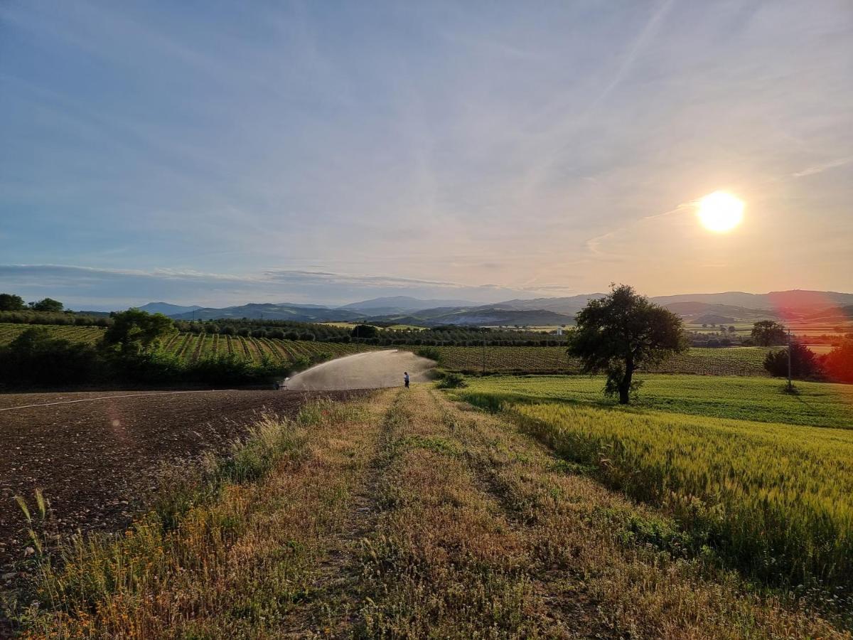 Agriturismo Essentia Dimora Rurale Larino エクステリア 写真
