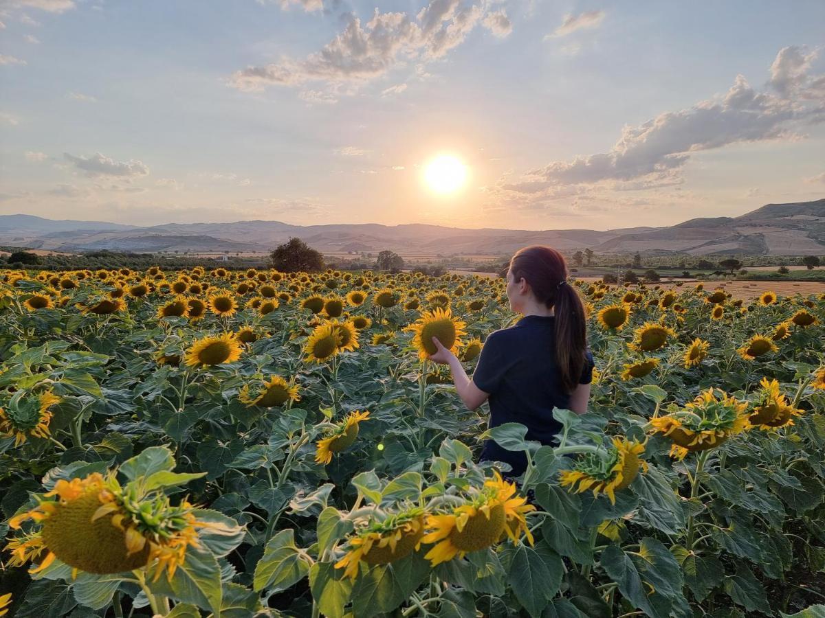 Agriturismo Essentia Dimora Rurale Larino エクステリア 写真