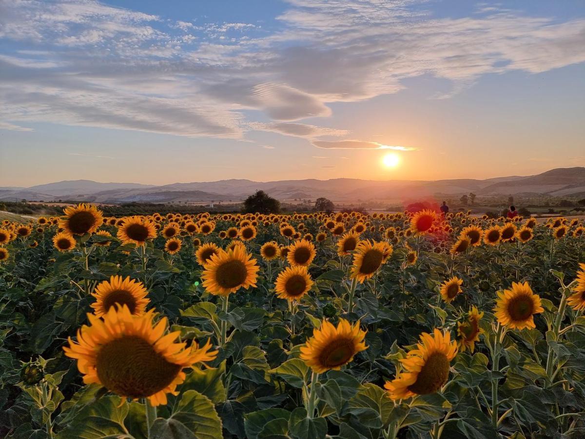 Agriturismo Essentia Dimora Rurale Larino エクステリア 写真