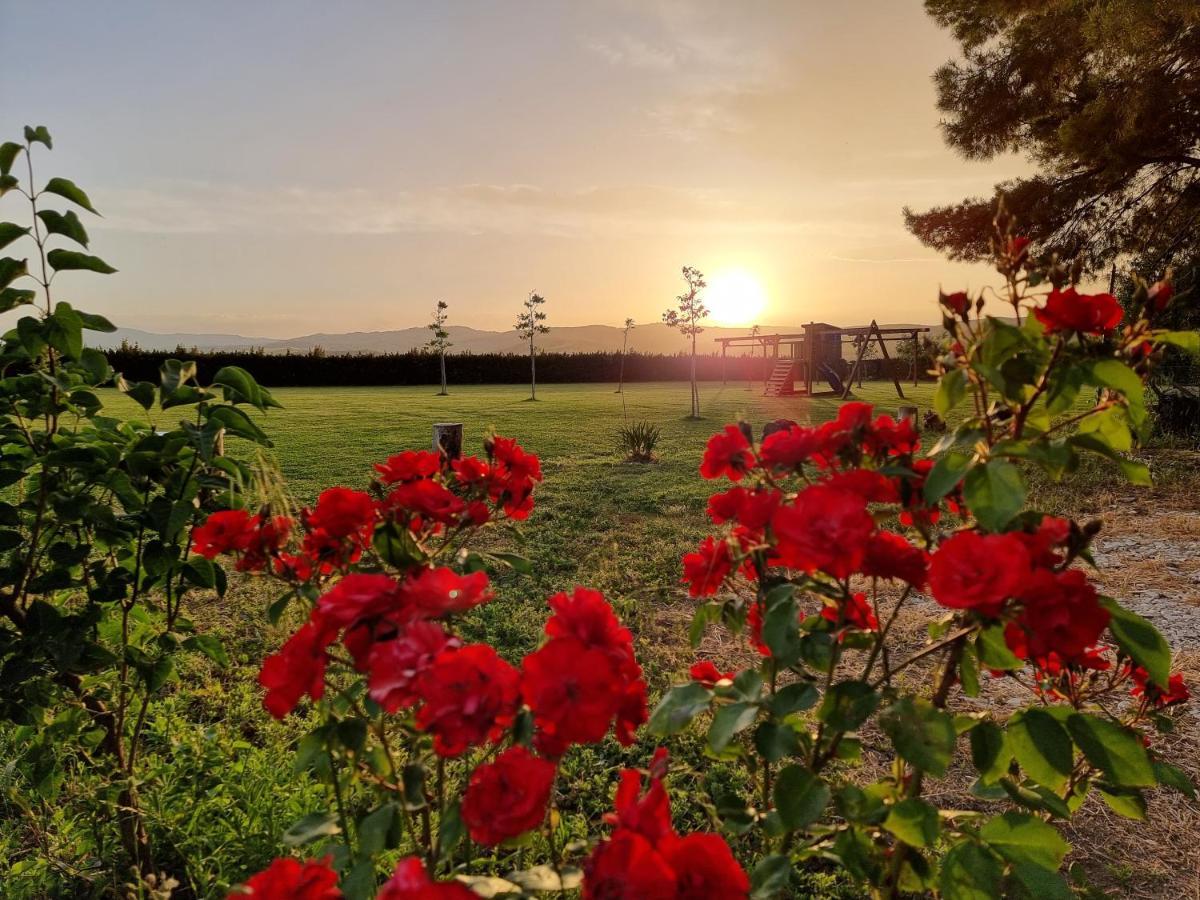 Agriturismo Essentia Dimora Rurale Larino エクステリア 写真