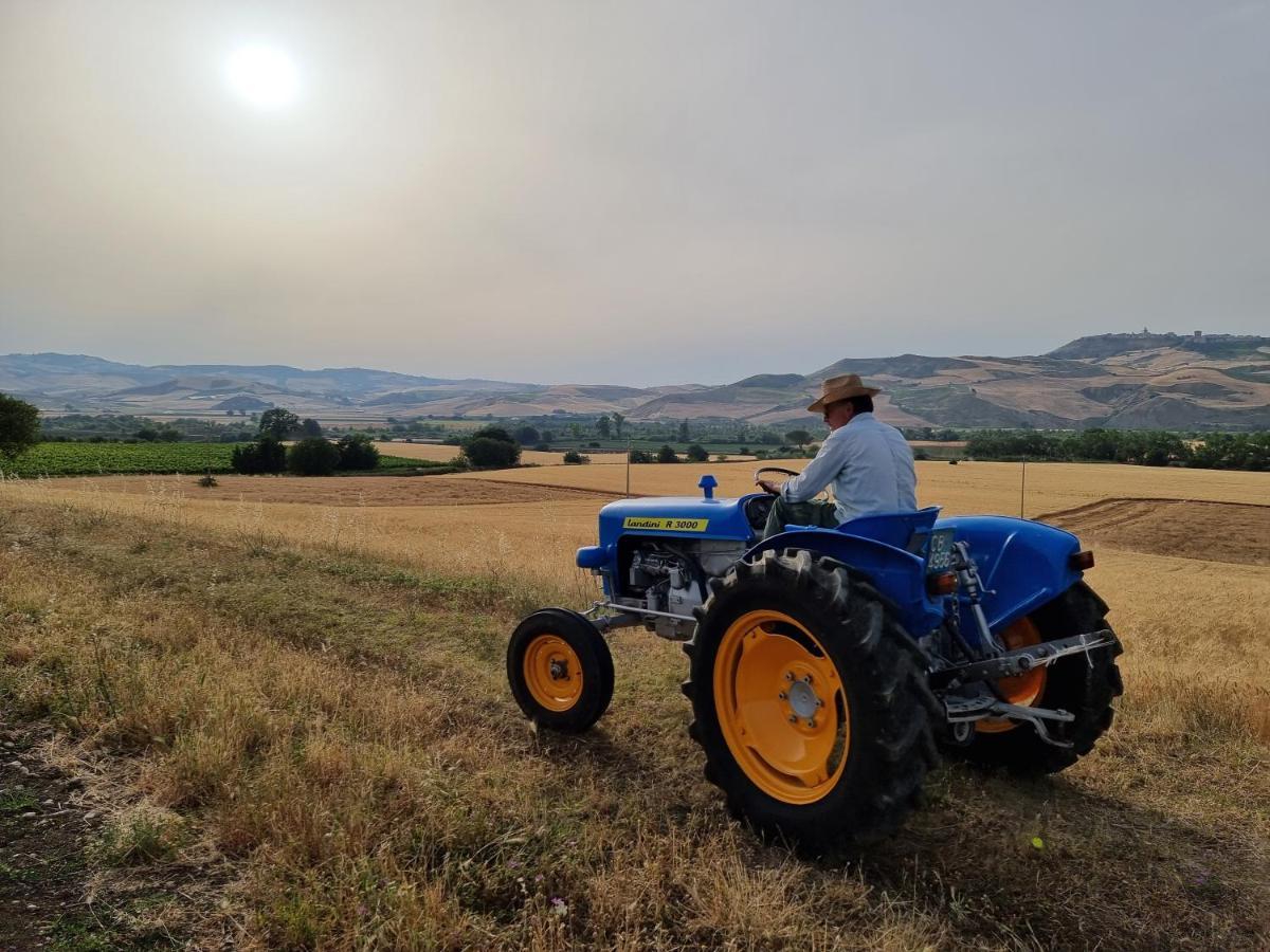 Agriturismo Essentia Dimora Rurale Larino エクステリア 写真