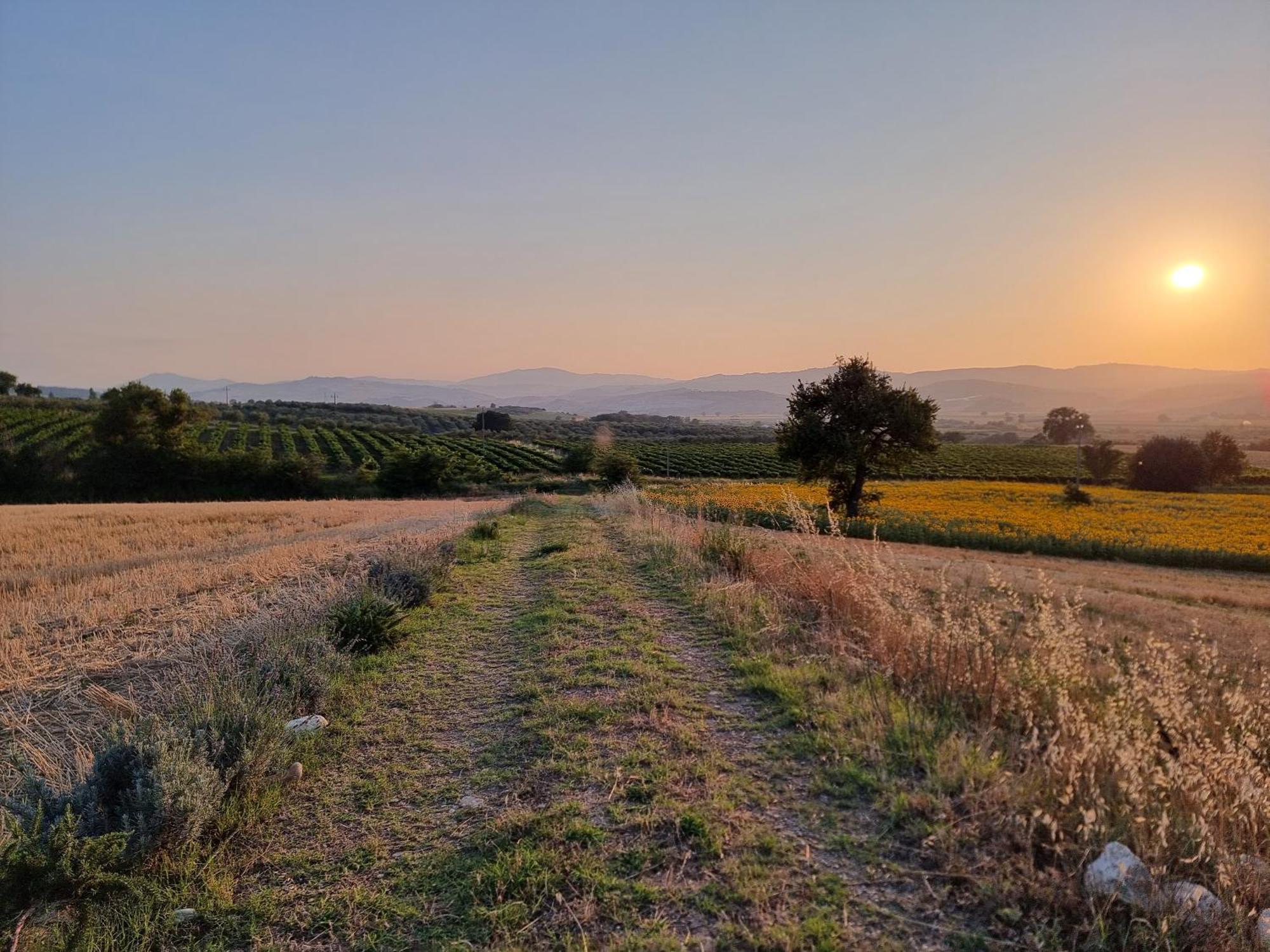 Agriturismo Essentia Dimora Rurale Larino エクステリア 写真