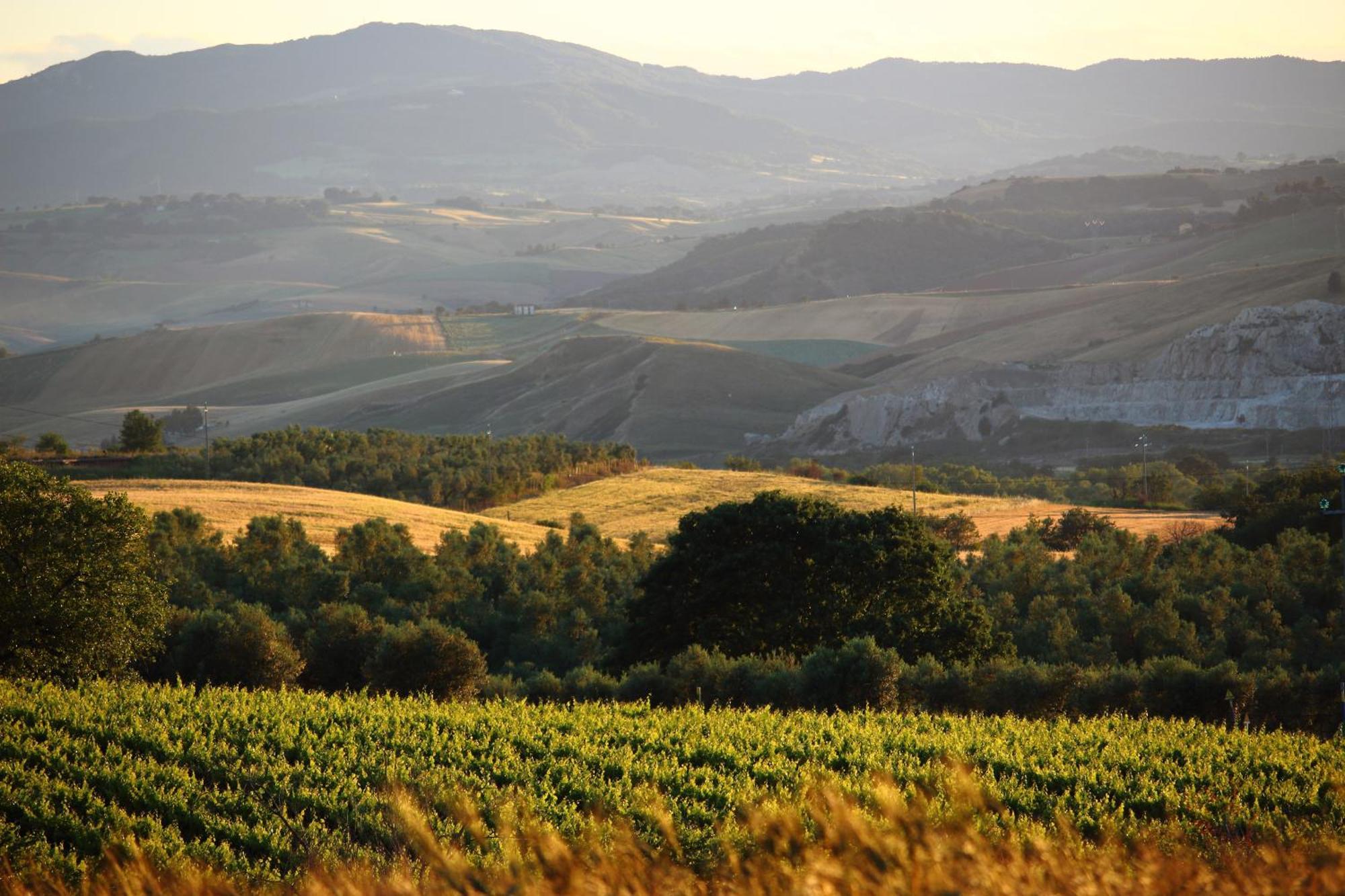 Agriturismo Essentia Dimora Rurale Larino エクステリア 写真