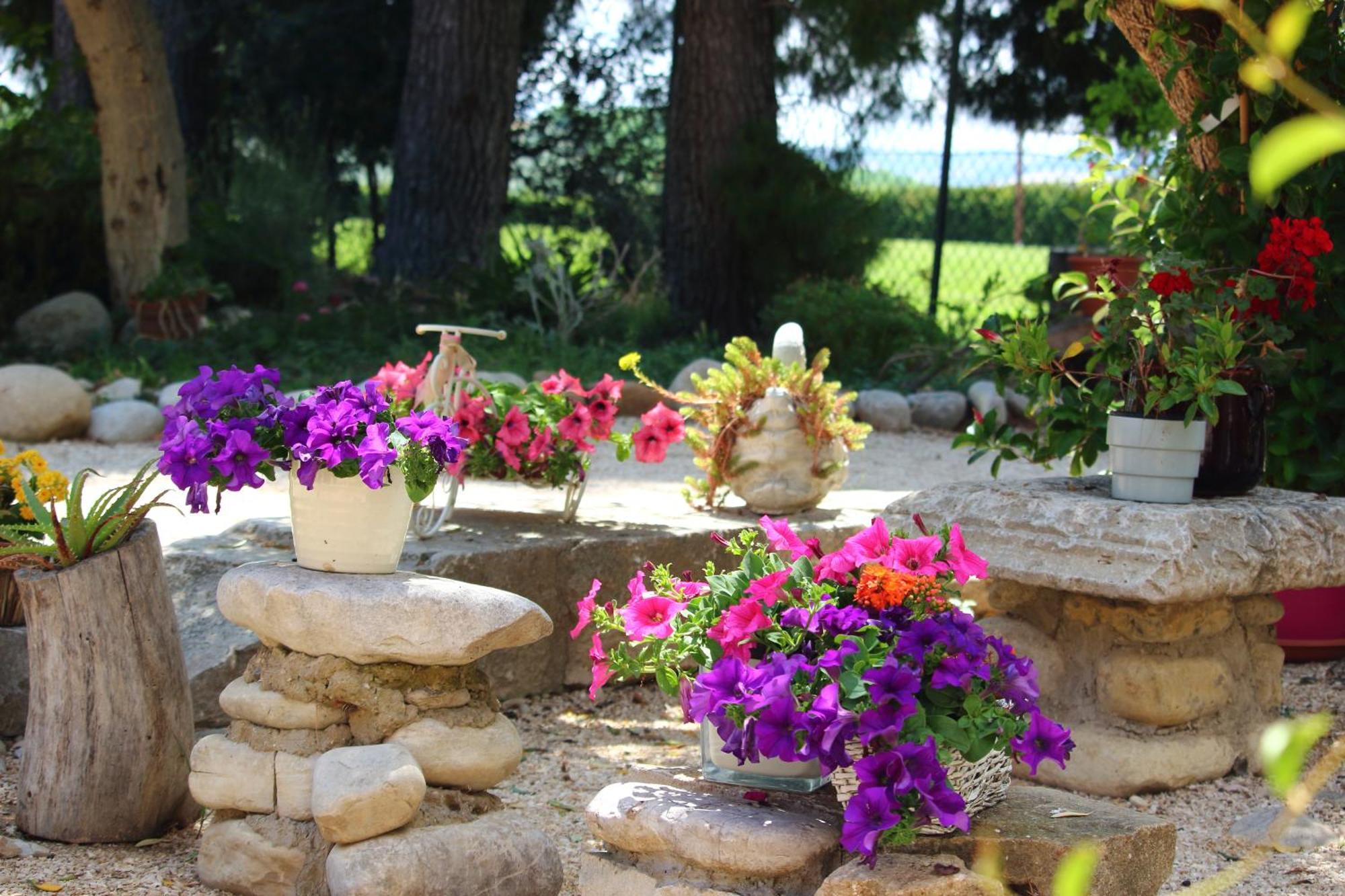 Agriturismo Essentia Dimora Rurale Larino エクステリア 写真