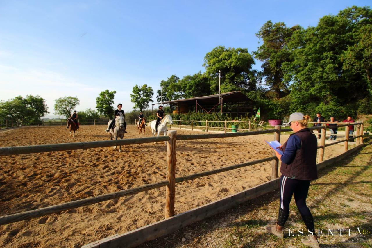 Agriturismo Essentia Dimora Rurale Larino エクステリア 写真